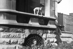 Joanne on railing, Georgia sitting on grass, Main house 2626 S. Michigan Ave., Chicago 1940